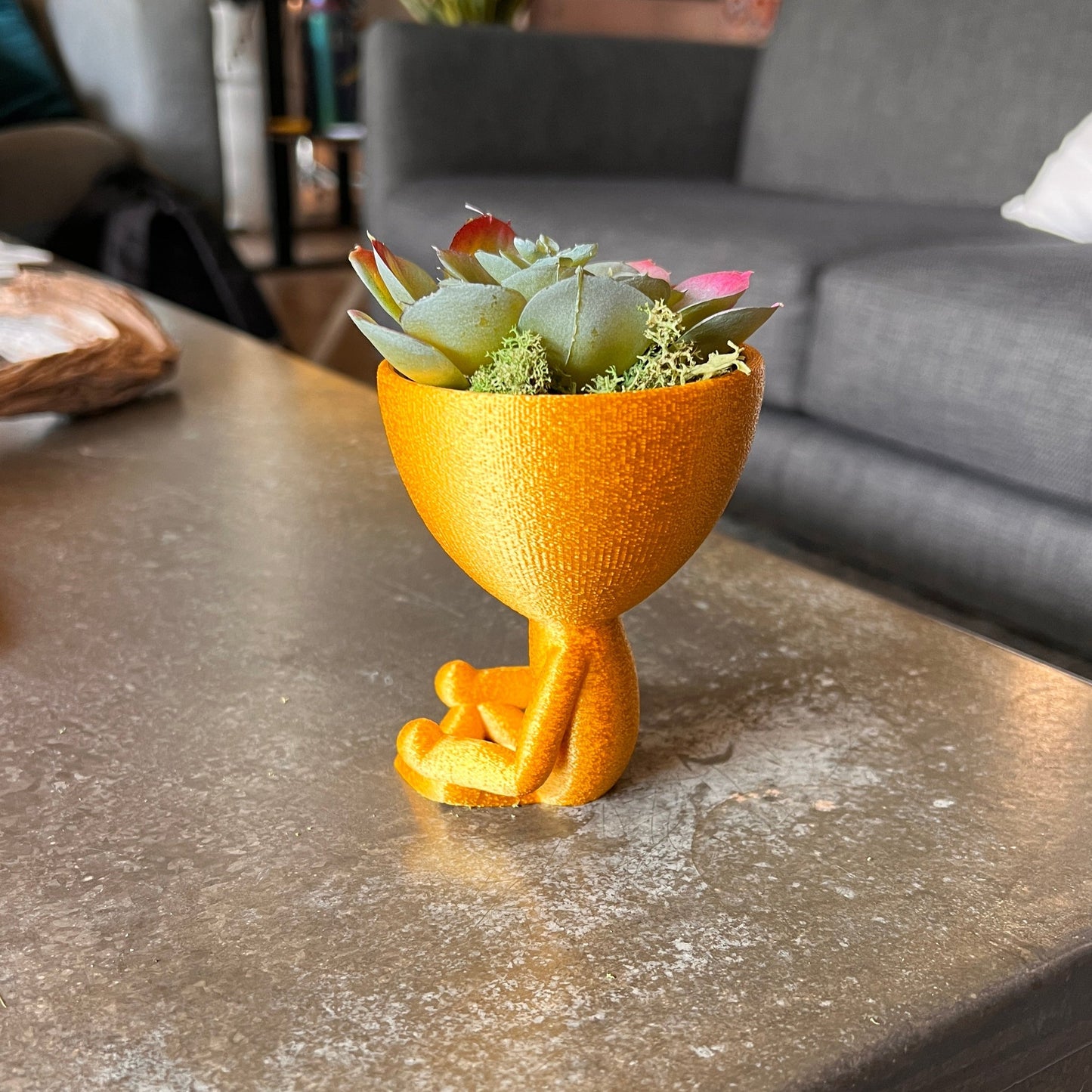 Meditation Plant Pot