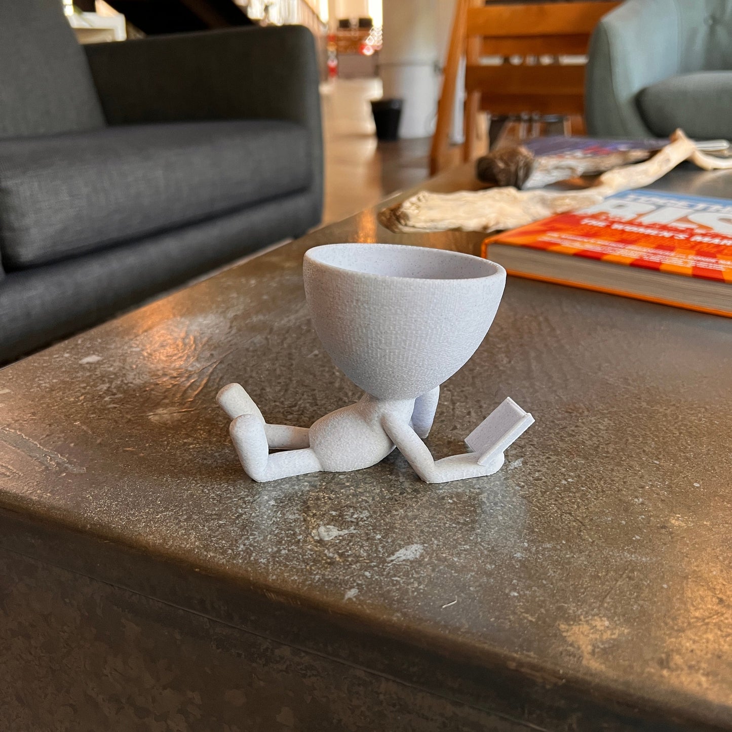 "Reading" Plant Pot