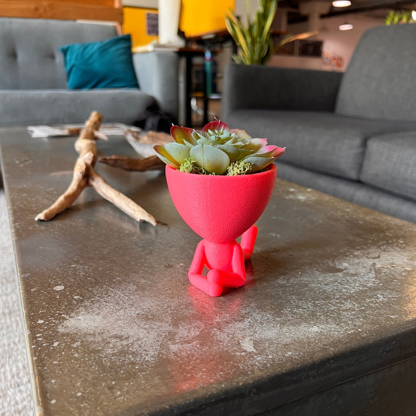 Listener Plant Pot